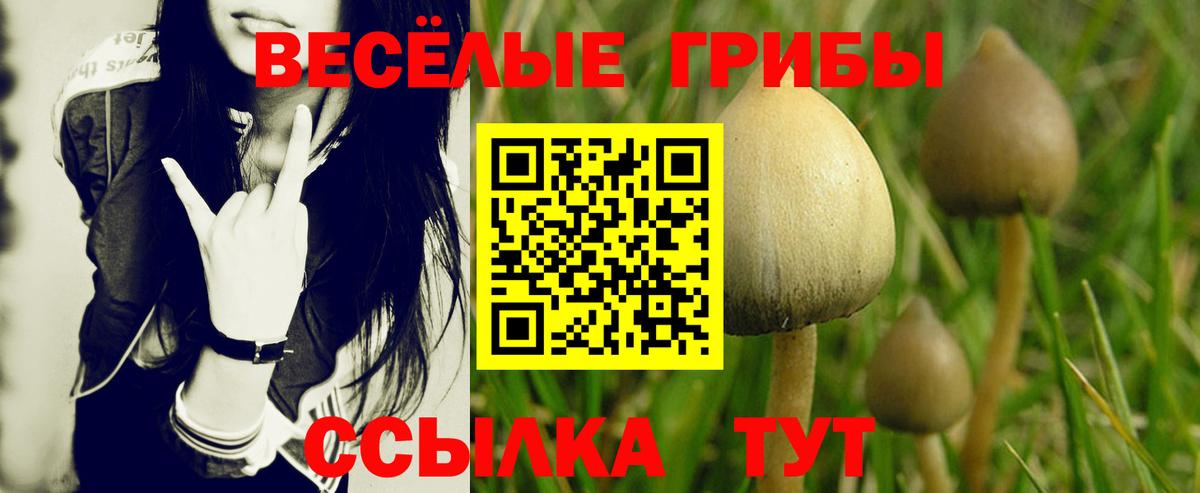 Галлюциногенные грибы мухоморы  Псилоцибиновые грибы MAGIC MUSHROOMS  Конаково  Вход с VPN 